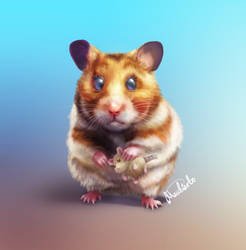 My hamster, Maisy