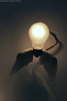 Bulb with wings