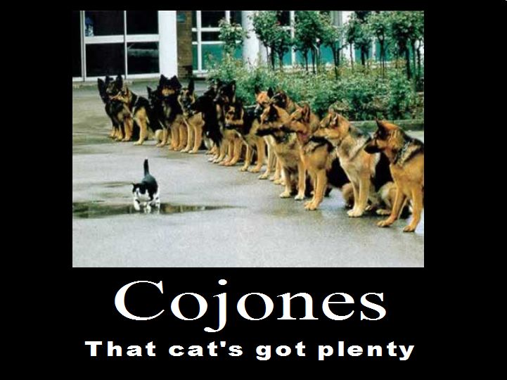 Cojones