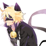 Cat Noir Render [Miraculous Ladbybug]