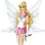 AT: Sailor Shine