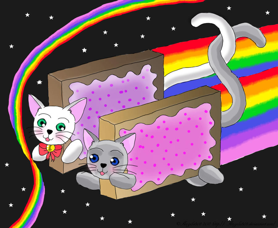 Nyan Cat  love