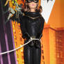 Catwoman Barbie