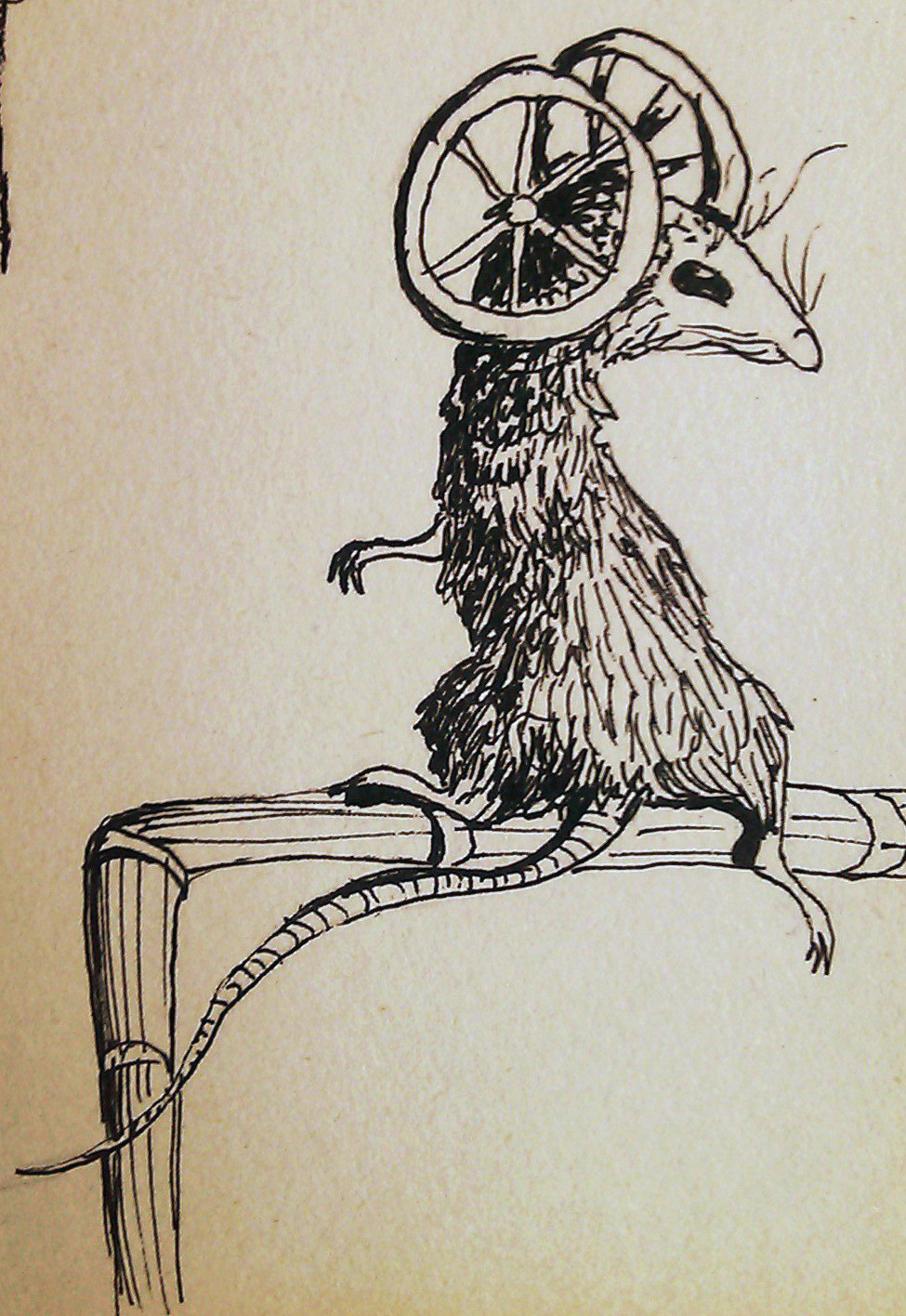 rat with wheels