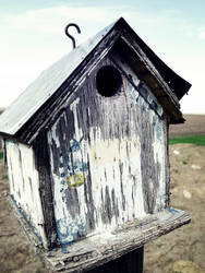 Birdhouse