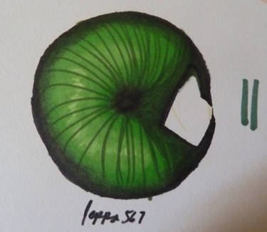 Marker Practice 1 - Green Iris