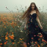 In Bloom