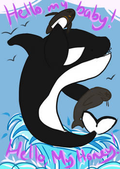 Orca Doodle for a Friend