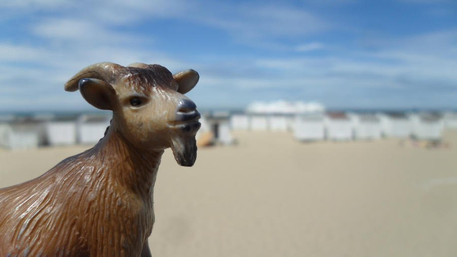 Biquette at St Malo in France