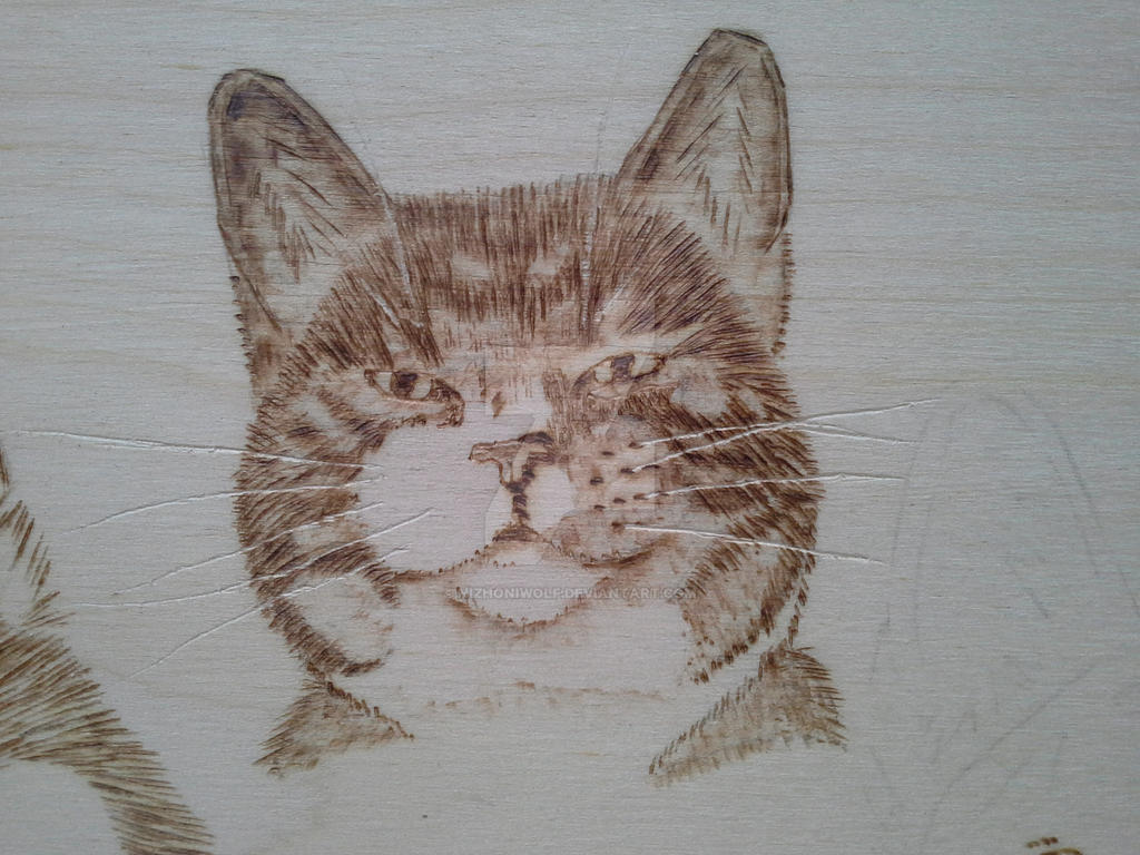 pyrography ~ cat by NizhoniWolf on DeviantArt