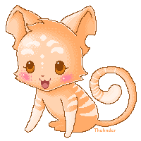 Baby Kougra