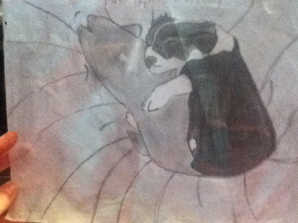 Easy Rascal Drawing Bandit and Rascal drawing by pinkgirl21611 on DeviantArt