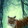 Tiger in forest