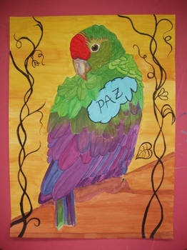 Peace Parrot
