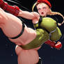 Cammy White Side Kicking