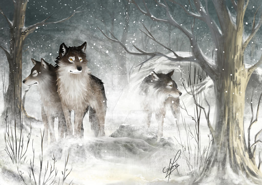 Wolves illustration by Carisame on DeviantArt