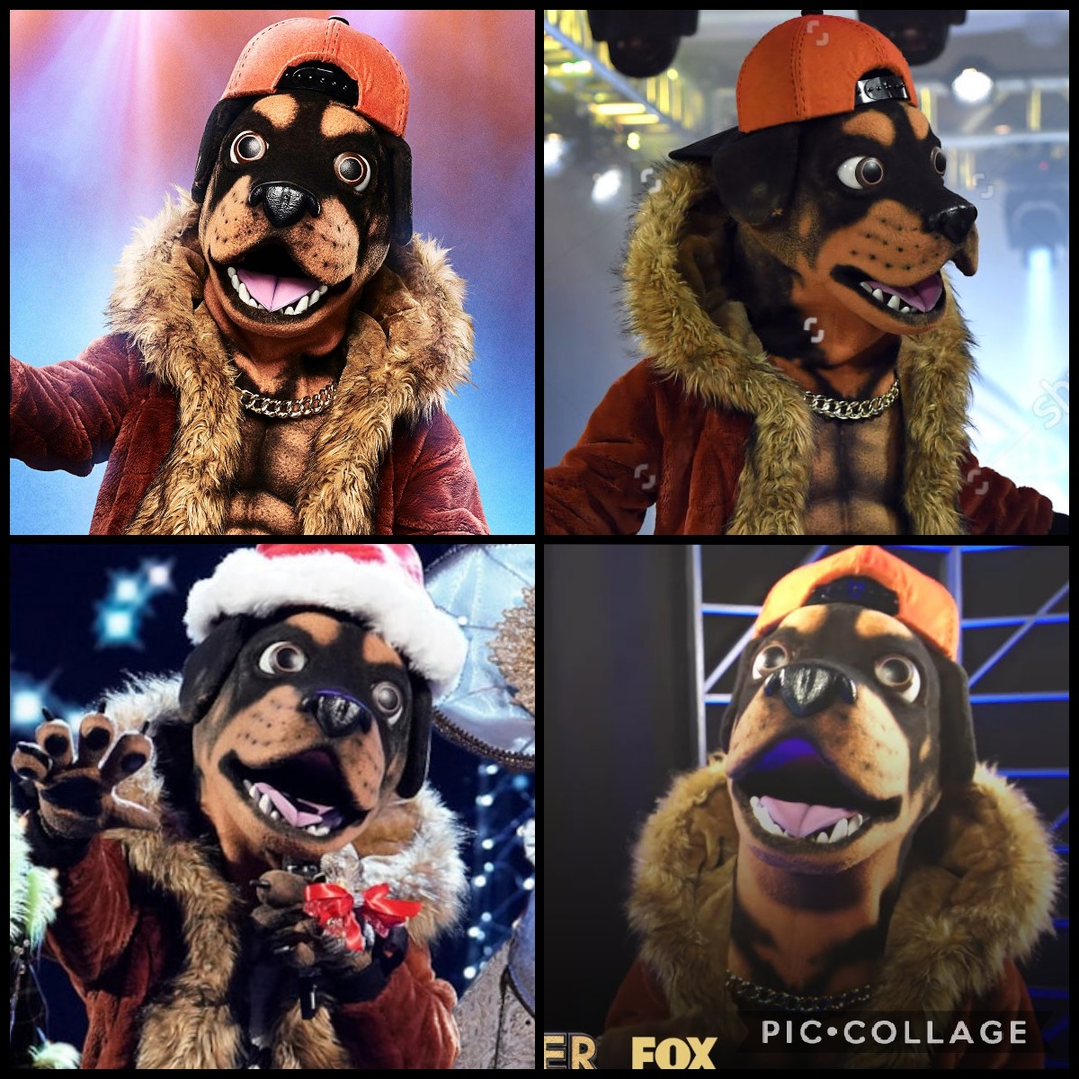 Rottweiler (Collage) by SharonLover08 on DeviantArt