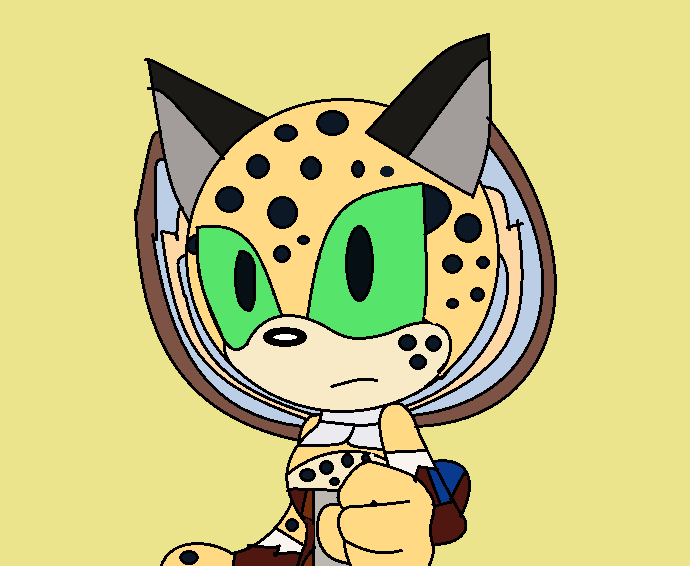 Leopard in Sonic Style