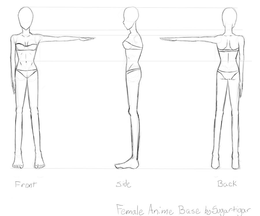 Female Body Base by sugartigar on DeviantArt