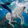 HEE Custom | Underwater Appaloosa