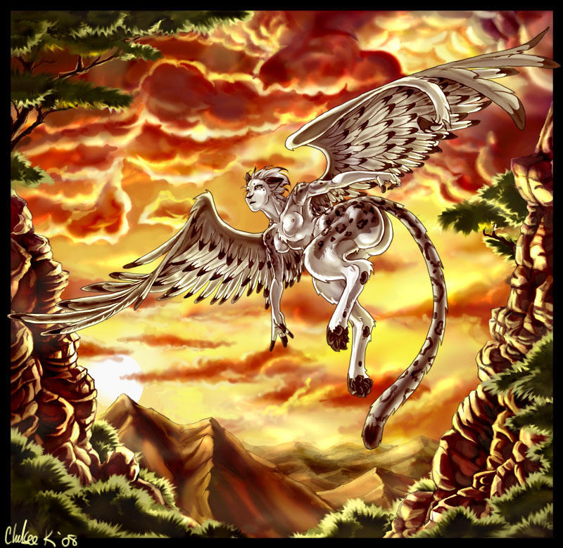 Sphinx in Flight by Chelsee on DeviantArt