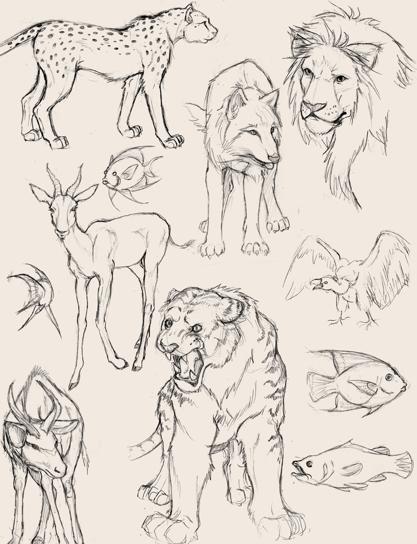 Animal Studies