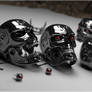 Terminator Heads