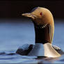 Black Throated Diver 6