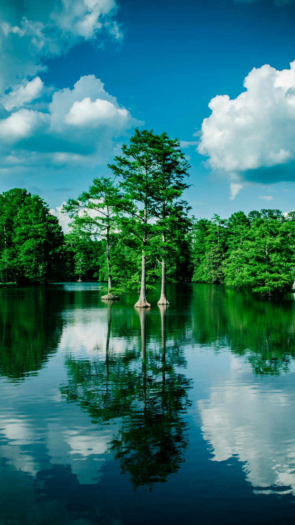Swan Lake Iris Gardens By Shaneasman On Deviantart