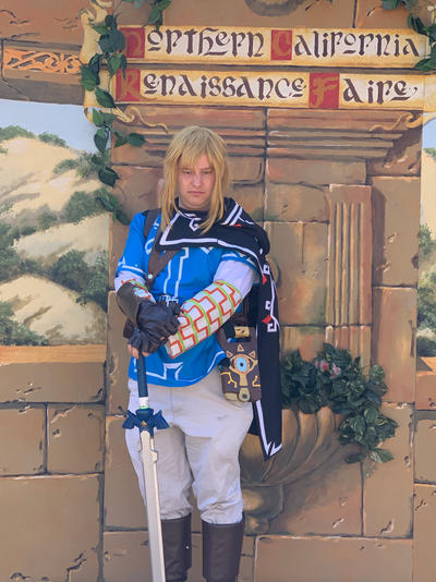 Breath of the wild Link