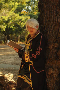 Robin Fire Emblem
