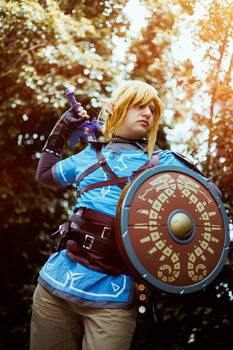 Tears if the Kingdom Link Cosplay