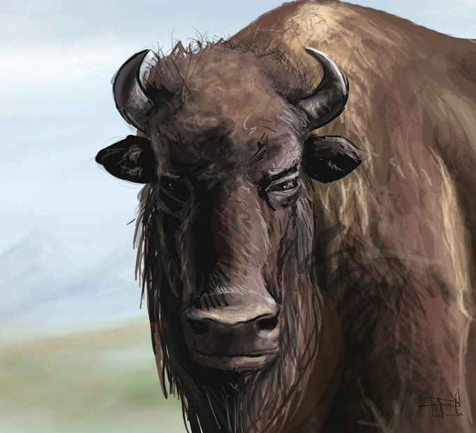 Buffalo Speed paint