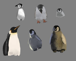 Penguins from Reference