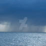 Downpour