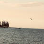 Paragliding