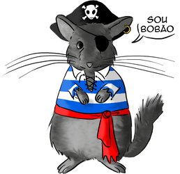 Eibl: the broken tail pirate chinchilla.