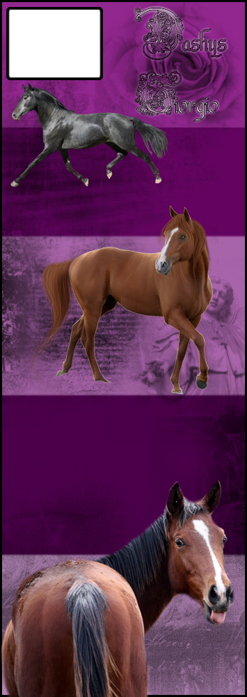 50 shades of purple - horse design