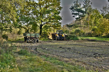 autumn field work