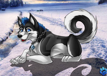 Akimo Spirit Explore the Best Akimo Art | DeviantArt