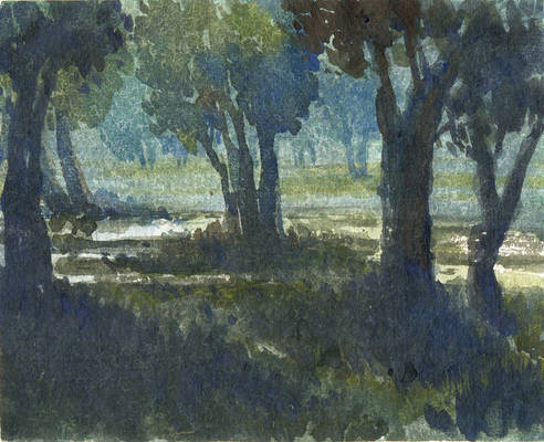 landscape15