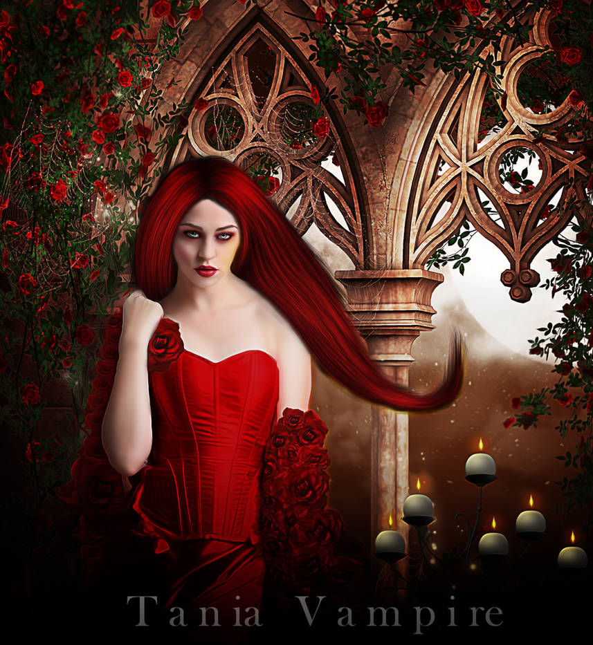 The red roses by TaniaART on DeviantArt