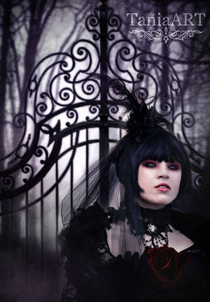 Black Bride by TaniaART Black Bride by TaniaART