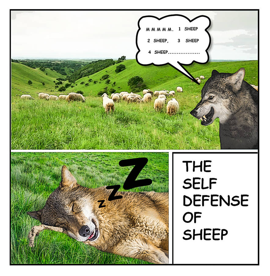 wolf and sheep meme by prakashsingh on DeviantArt