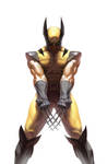 Wolverine by Br3ndan5 Wolverine by Br3ndan5