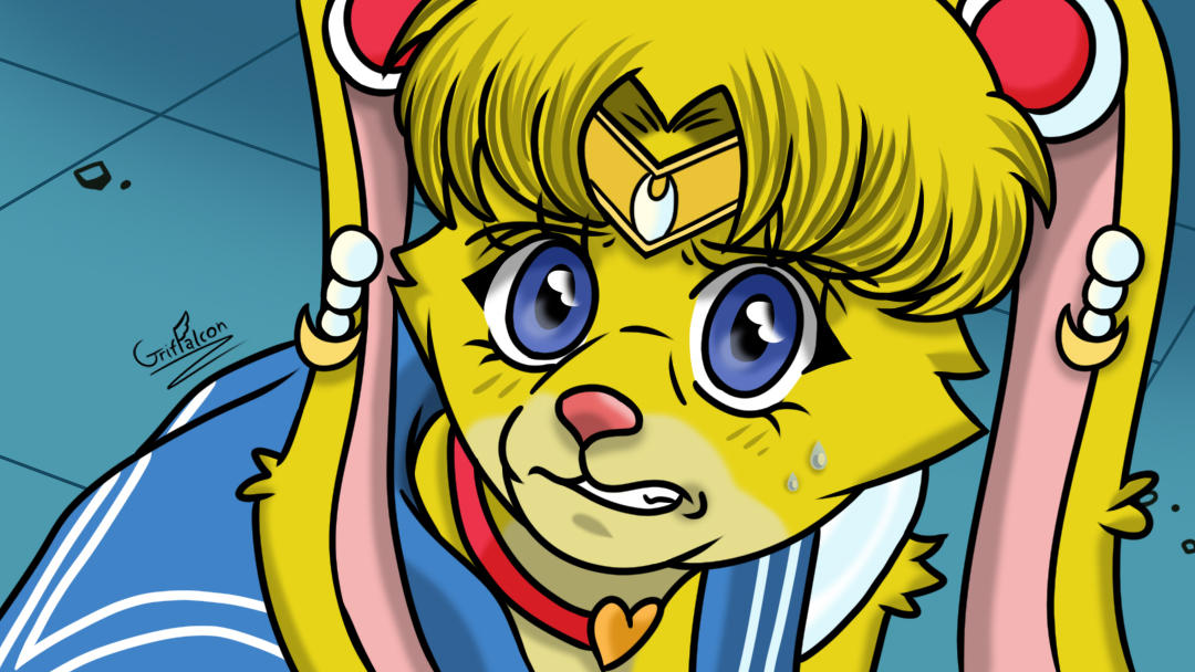 Sailor Moon Rabbit version! by Bf-Chan2000 on DeviantArt