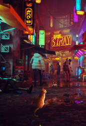 STRAY Fan Poster