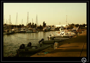 afternoon at the port