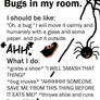 Bugs In My Room...