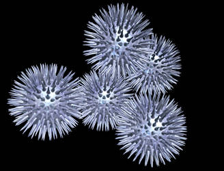 Microbe